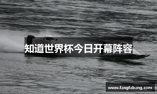 知道世界杯今日开幕阵容